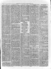 Loftus Advertiser Saturday 12 April 1879 Page 5