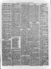 Loftus Advertiser Saturday 26 April 1879 Page 5