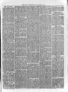 Loftus Advertiser Saturday 10 May 1879 Page 3