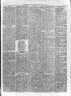 Loftus Advertiser Saturday 10 May 1879 Page 5