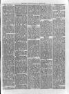 Loftus Advertiser Saturday 24 May 1879 Page 3