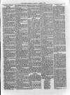 Loftus Advertiser Saturday 24 May 1879 Page 7