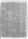 Loftus Advertiser Saturday 07 June 1879 Page 3