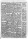 Loftus Advertiser Saturday 07 June 1879 Page 5