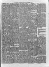 Loftus Advertiser Saturday 14 June 1879 Page 3