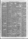 Loftus Advertiser Saturday 20 September 1879 Page 3