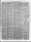 Loftus Advertiser Saturday 20 September 1879 Page 5