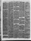 Loftus Advertiser Saturday 03 January 1880 Page 4