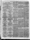 Loftus Advertiser Saturday 03 January 1880 Page 8
