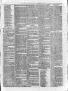 Loftus Advertiser Saturday 17 January 1880 Page 7