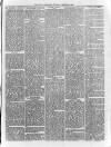 Loftus Advertiser Saturday 24 January 1880 Page 3