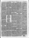 Loftus Advertiser Saturday 31 January 1880 Page 5