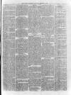 Loftus Advertiser Saturday 14 February 1880 Page 5