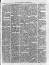 Loftus Advertiser Saturday 21 February 1880 Page 5