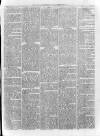Loftus Advertiser Saturday 28 February 1880 Page 5