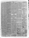 Loftus Advertiser Saturday 03 July 1880 Page 3