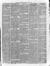 Loftus Advertiser Saturday 03 July 1880 Page 5