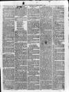 Loftus Advertiser Saturday 14 August 1880 Page 5