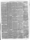 Loftus Advertiser Saturday 25 December 1880 Page 3