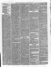 Loftus Advertiser Saturday 25 December 1880 Page 7