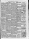 Loftus Advertiser Saturday 12 March 1881 Page 3