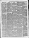Loftus Advertiser Saturday 12 March 1881 Page 5
