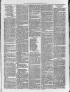 Loftus Advertiser Saturday 12 March 1881 Page 7