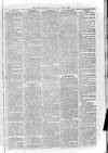 Loftus Advertiser Saturday 02 September 1882 Page 5
