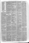 Loftus Advertiser Saturday 06 January 1883 Page 7