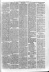 Loftus Advertiser Saturday 03 February 1883 Page 5