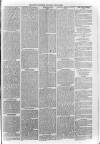 Loftus Advertiser Saturday 10 March 1883 Page 5