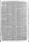 Loftus Advertiser Saturday 03 November 1883 Page 3