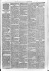 Loftus Advertiser Saturday 17 November 1883 Page 7