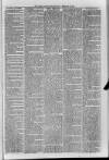 Loftus Advertiser Saturday 21 February 1885 Page 3