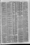 Loftus Advertiser Saturday 11 April 1885 Page 5