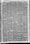 Loftus Advertiser Saturday 29 August 1885 Page 5