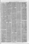 Loftus Advertiser Saturday 24 July 1886 Page 3