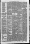 Loftus Advertiser Saturday 25 June 1887 Page 7