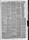 Loftus Advertiser Saturday 12 January 1889 Page 5