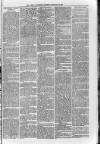 Loftus Advertiser Saturday 22 February 1890 Page 3