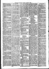 Loftus Advertiser Friday 05 January 1894 Page 5