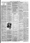 Loftus Advertiser Friday 12 January 1894 Page 7