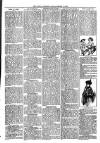 Loftus Advertiser Friday 19 January 1894 Page 3