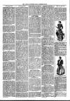 Loftus Advertiser Friday 26 January 1894 Page 3