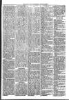 Loftus Advertiser Friday 26 January 1894 Page 5