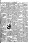 Loftus Advertiser Friday 16 February 1894 Page 7