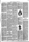 Loftus Advertiser Friday 09 March 1894 Page 3