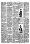 Loftus Advertiser Friday 16 March 1894 Page 3