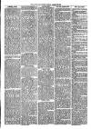 Loftus Advertiser Friday 23 March 1894 Page 5