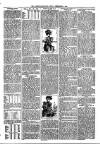 Loftus Advertiser Friday 07 September 1894 Page 3